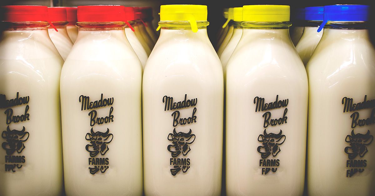Milk and Gout: Benefits, Risks & Practical Guide