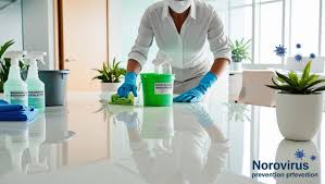 Norovirus Cleaning Tips – Fast, Safe Ways to Disinfect