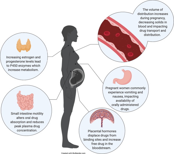 Prevent Premature Birth: Proven Ways to Keep Baby Safe