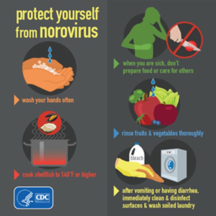 How to Prevent Stomach Flu: Simple, Proven Steps