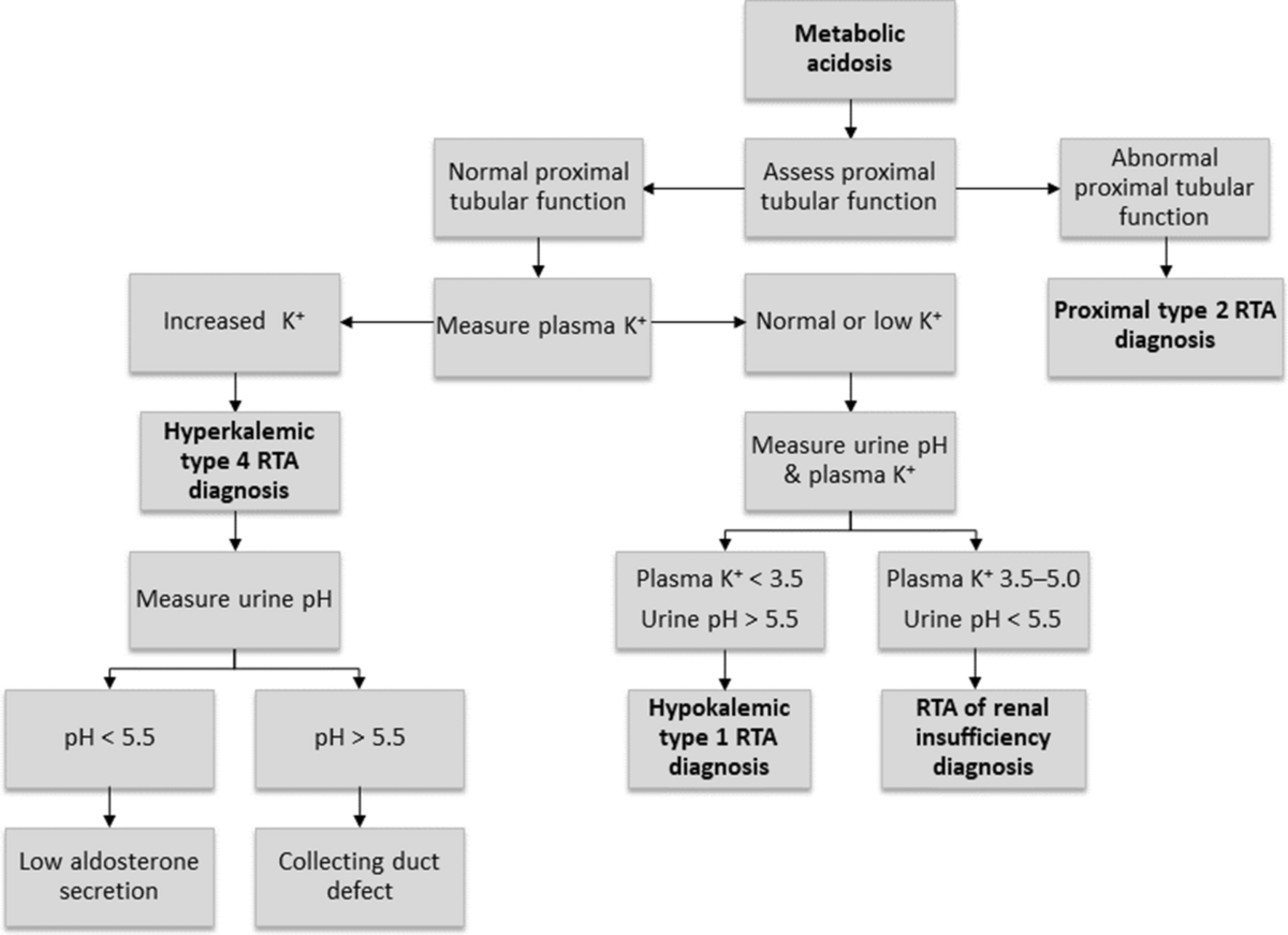 Renal Tubular Acidosis Diet: Steps for Relief