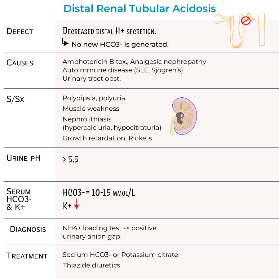 Renal Tubular Acidosis Treatment: What Really Works