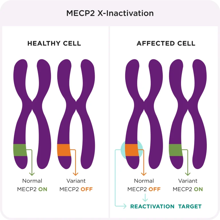 Rett syndrome types: classic, atypical & phases