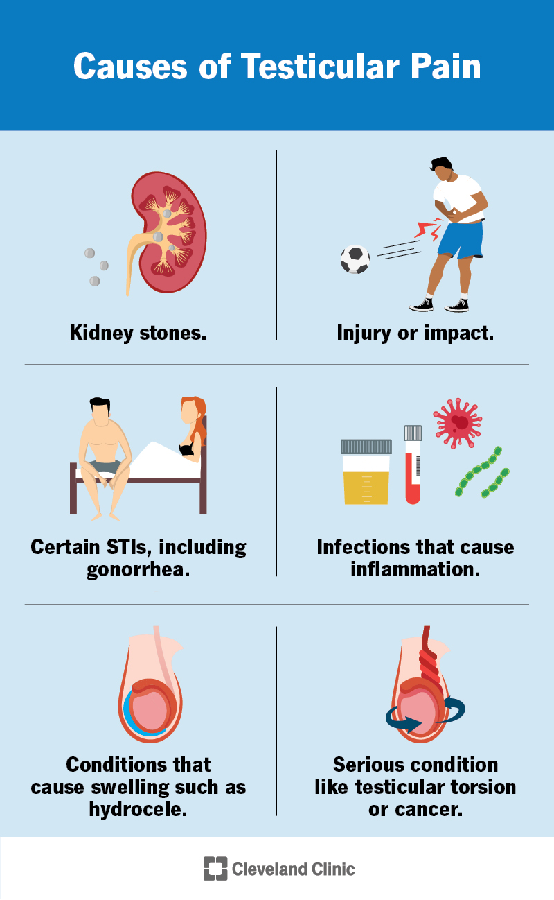 Severe Scrotal Pain: Quick Answers & When to Seek Help