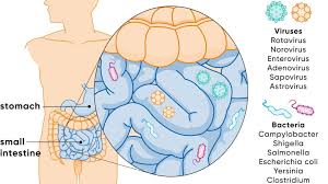 Stomach Flu Contagion: How Long Are You Infectious?