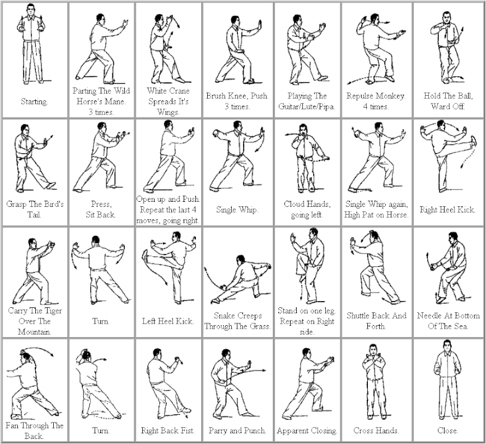 Tai Chi Beginners: Easy Steps to Calm & Balance