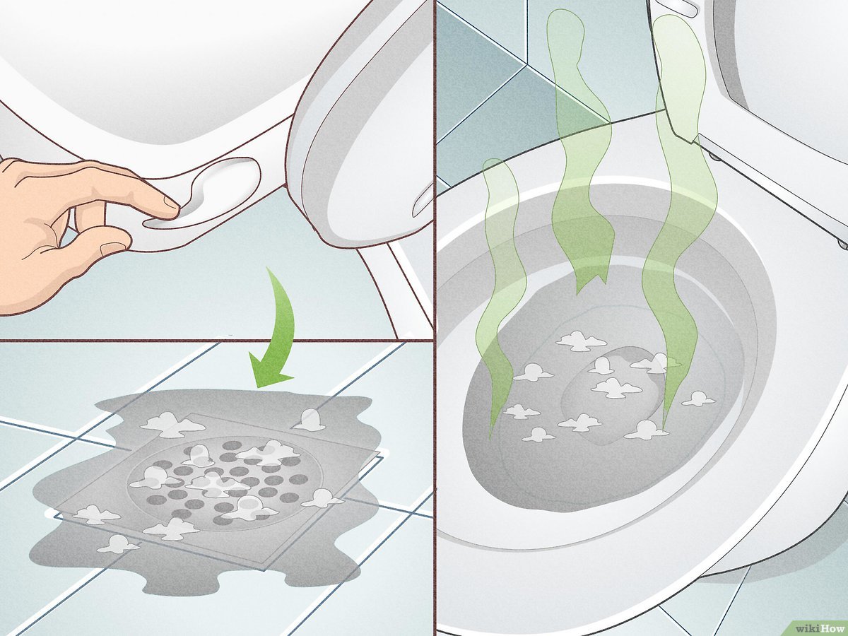 What Breaks Down Poop in Toilet Overnight? Solutions