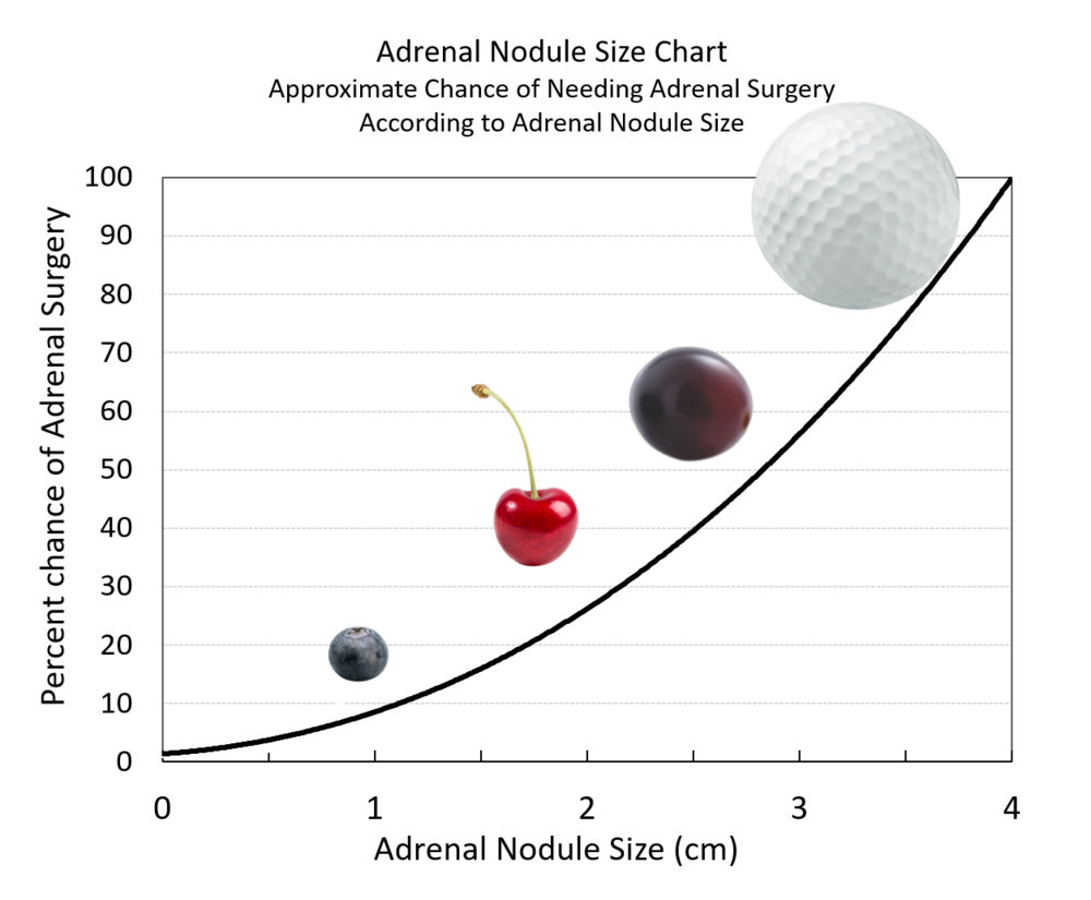 Adrenal Tumor Size: What It Means for Your Health