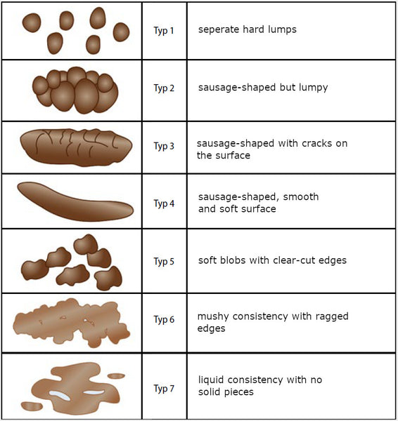 Large Stool Reasons: Why Your Poop Gets Really Huge