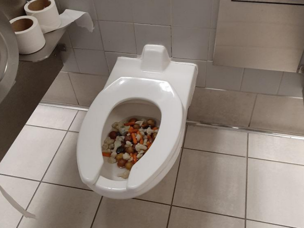 Why Poop Clogs: 5 Real Reasons and How to Fix Them