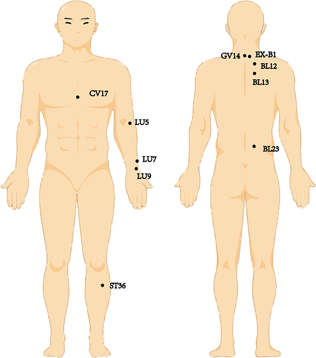 Acupuncture Asthma Benefits: Real Relief Explained