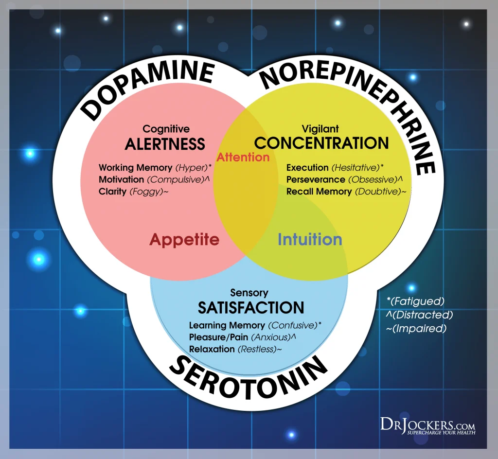 ADHD Dopamine Levels: How They Affect Focus & Mood