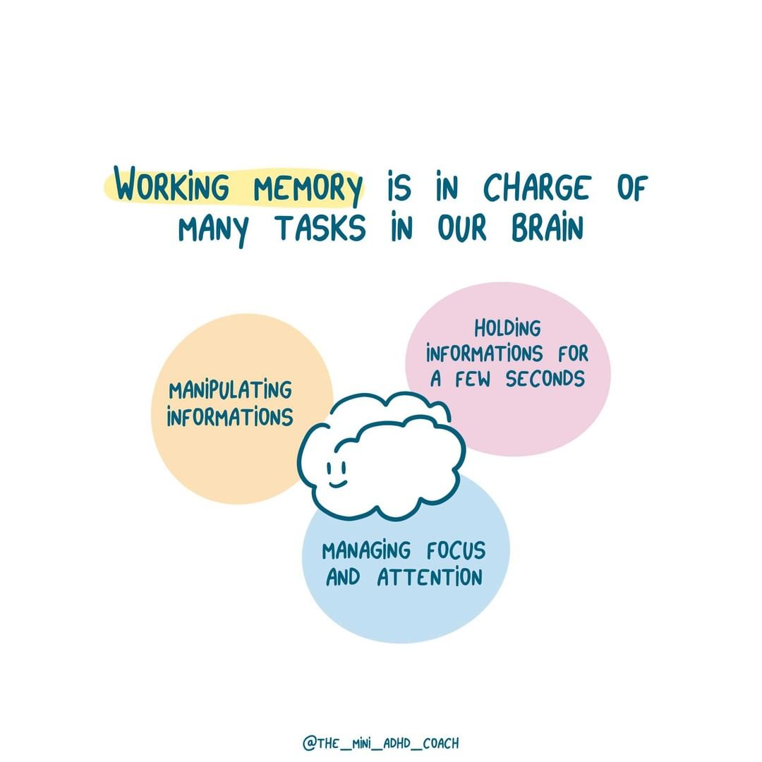 Understanding ADHD Working Memory: What You Need