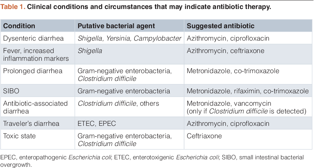 Antibiotics for Gastroenteritis: Essential Guide
