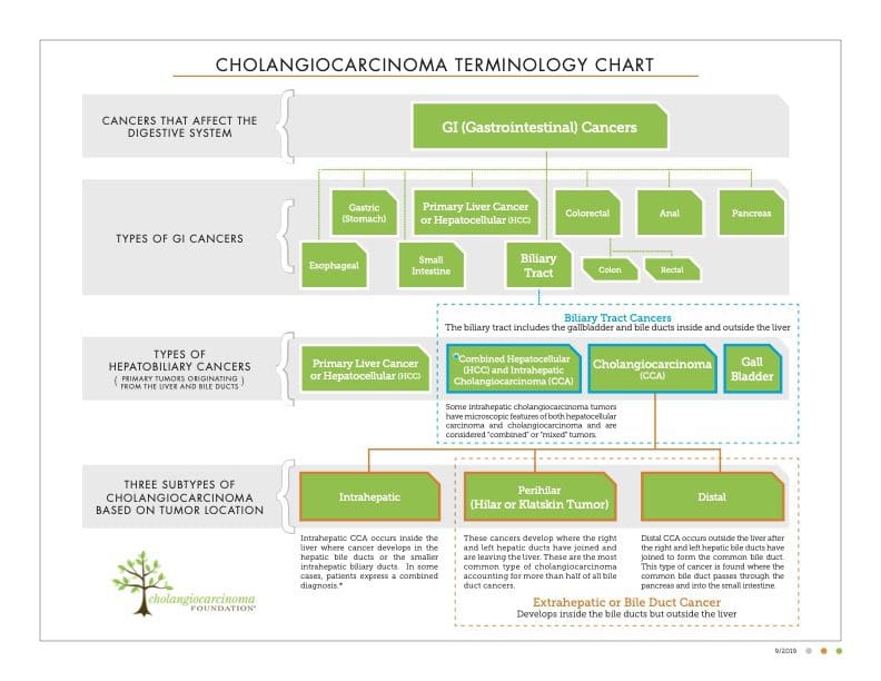 Cholangiocarcinoma Treatment Options – What Works Today?