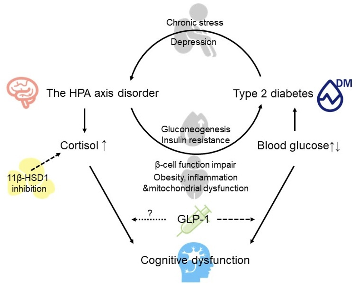 Cortisol & Blood Sugar: How Stress Raises Glucose