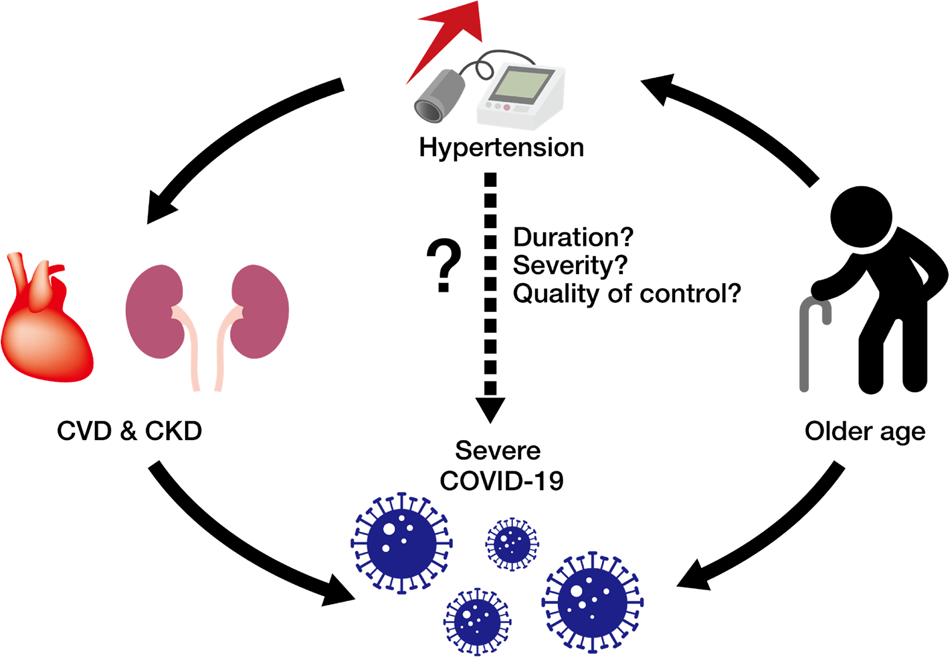 COVID-19 Hypertension: What You Need to Know Now