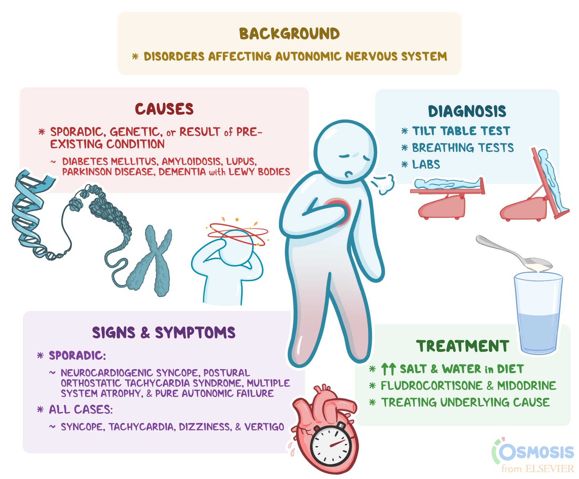 Dysautonomia Treatment: Options, Risks & What to Expect
