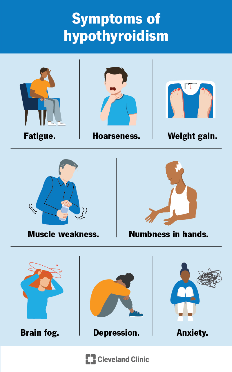 Hypothyroidism Effects: What to Expect and How to Manage