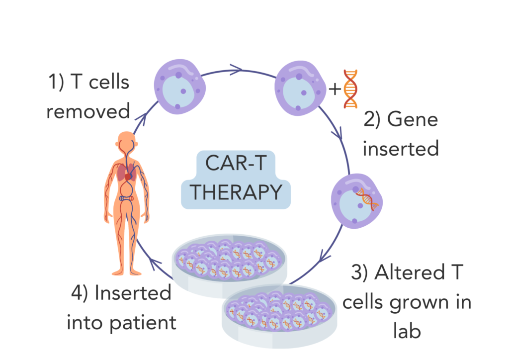 Immunotherapy Breast Cancer: Hope, Risks & Real Results