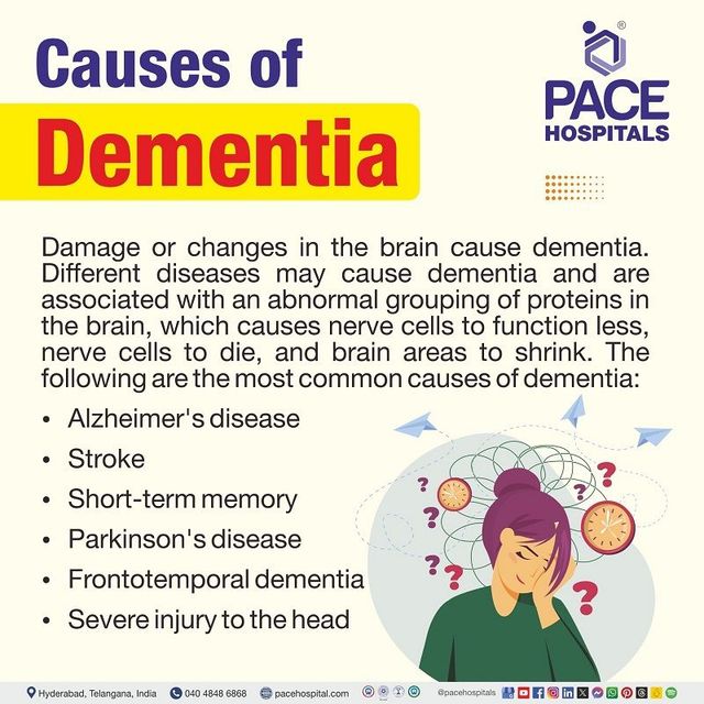 Understanding Mixed Dementia Causes: What You Need to Know