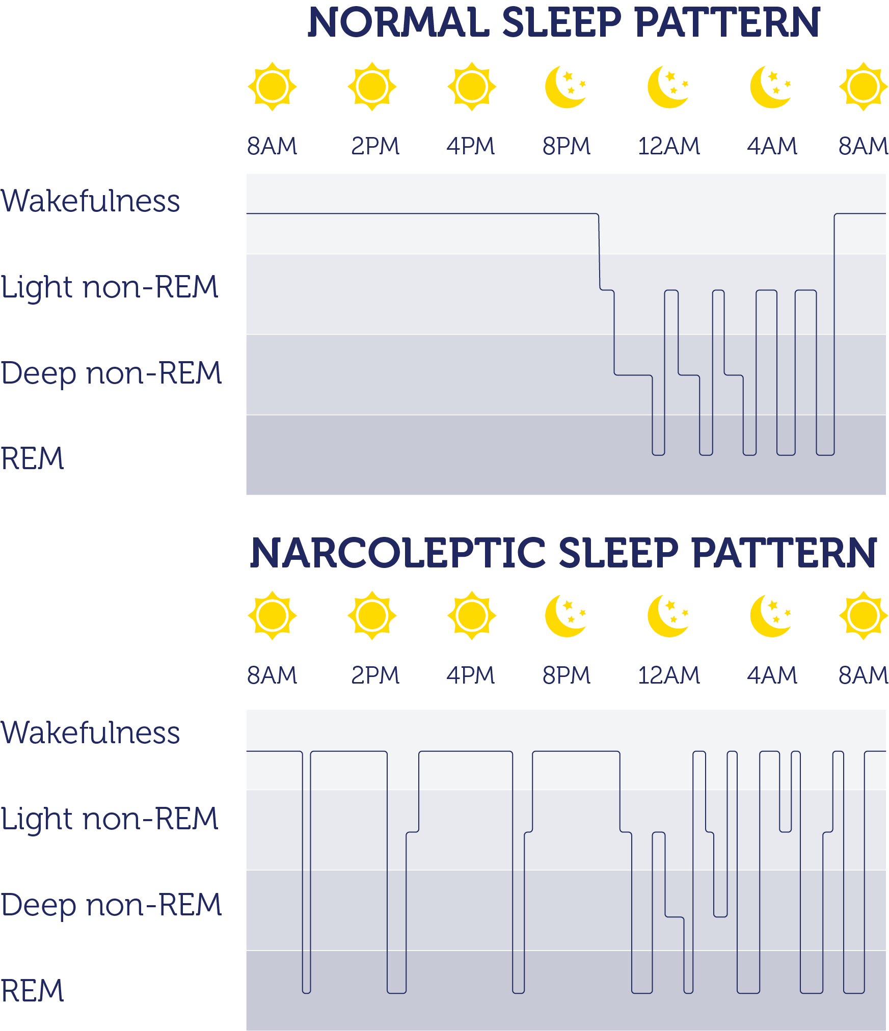 Narcolepsy Diagnosis Tool: Guide for Early Detection