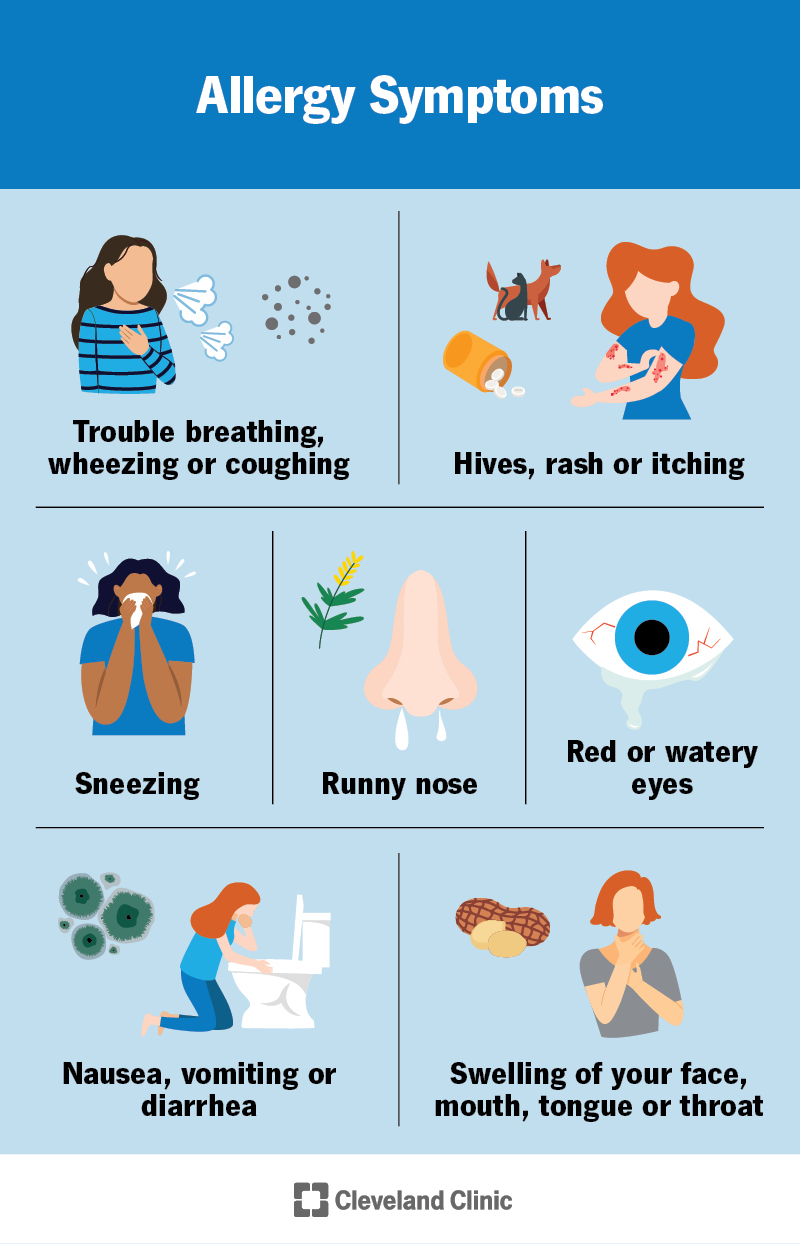 Pollen Allergy Symptoms – How to Spot & React