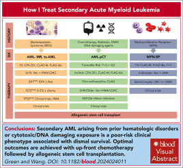 Secondary AML Definition: Clear Answers for You