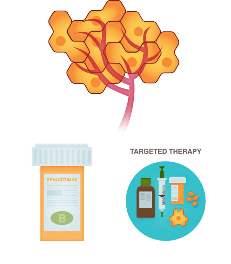 Targeted Breast Cancer Drugs: Types, Uses & Risks