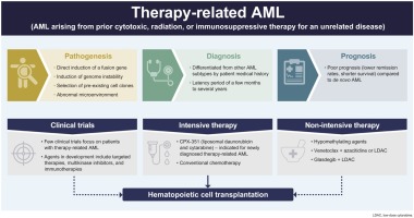 Therapy Induced AML: What It Means and How to Navigate It