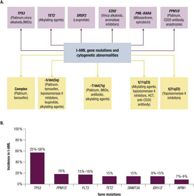 Therapy‑Related AML Treatment: What You Need to Know