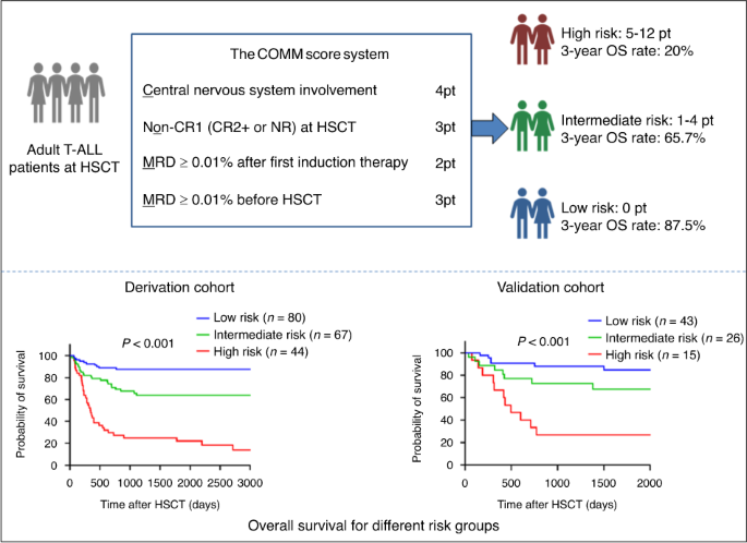 Adult ALL Prognosis – What the Numbers Really Mean