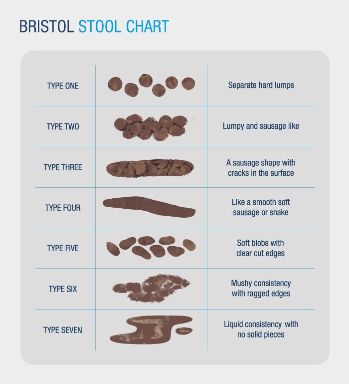 Alternating Bowel Habits: What They Mean & When to Worry