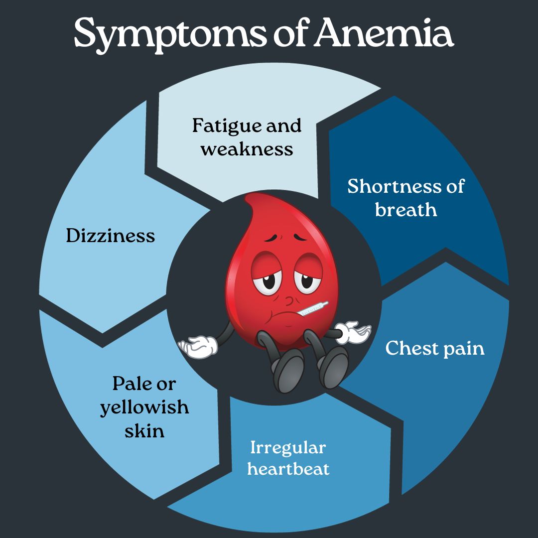 Anemia Risk Factors: What Increases Your Chances?