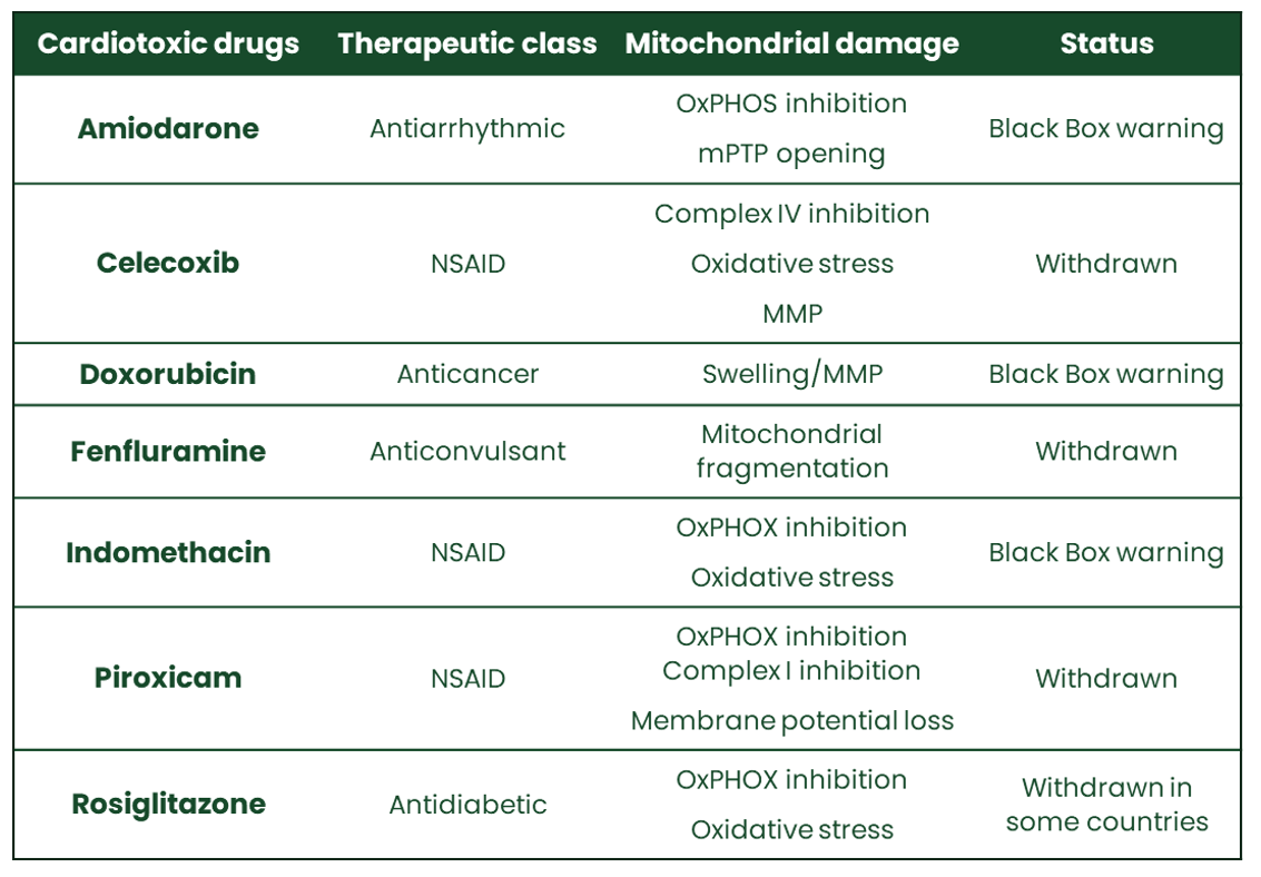 Cardiotoxic Drugs: Risks, Symptoms & Heart Protection