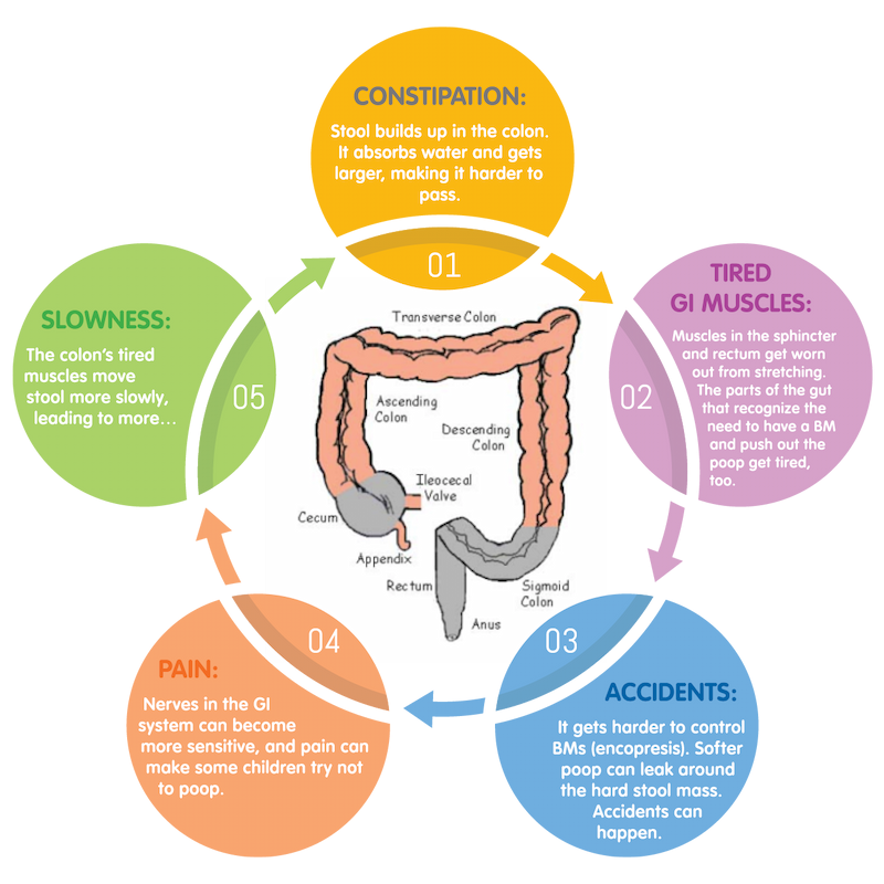 Constipation Diarrhea Cycle: Causes & How to Stop