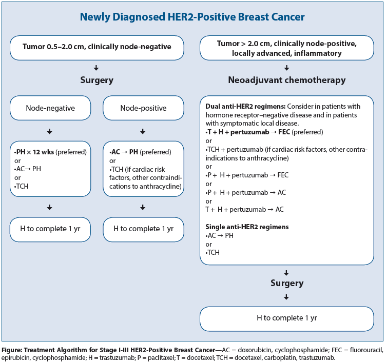 HER2 Chemotherapy Regimen: What You Need to Know