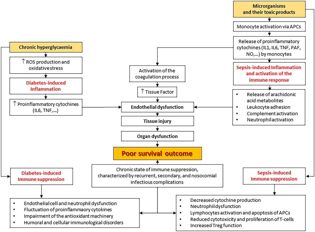 Sepsis Causing Hypoglycemia: What You Need to Know