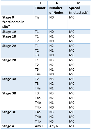 TNM Stages of Stomach Cancer: What They Mean for You