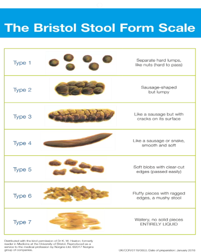 Variable Bowel Movements: What’s Normal & When to Worry