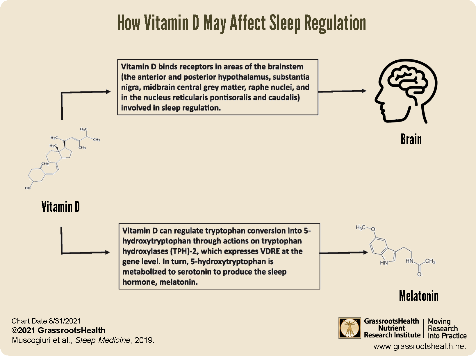 Vitamin D Sleep: How It Affects Your Nightly Rest