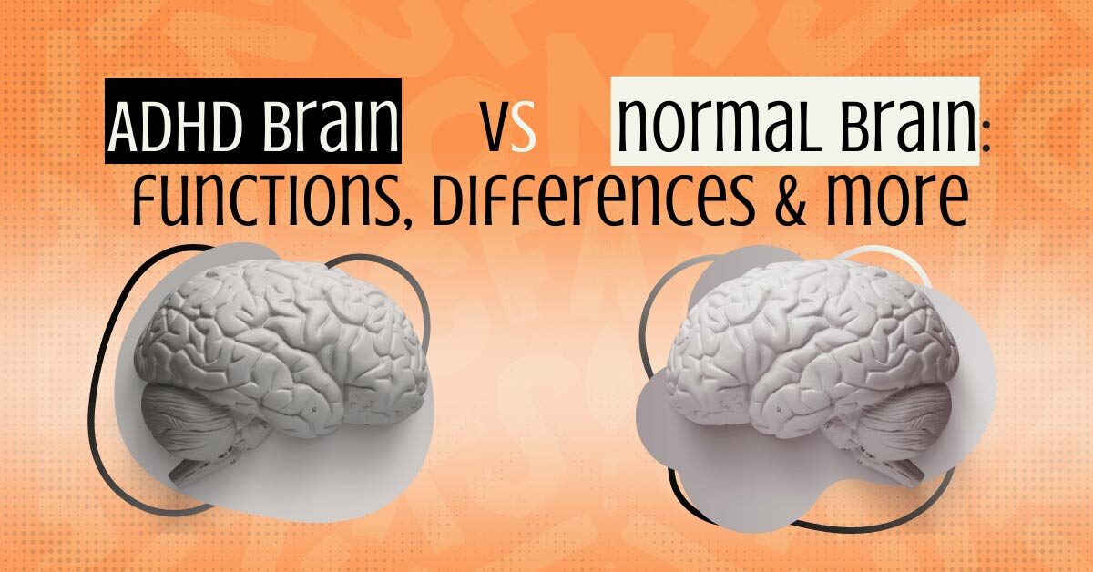 ADHD Brain vs Regular Brain: Key Differences Explained