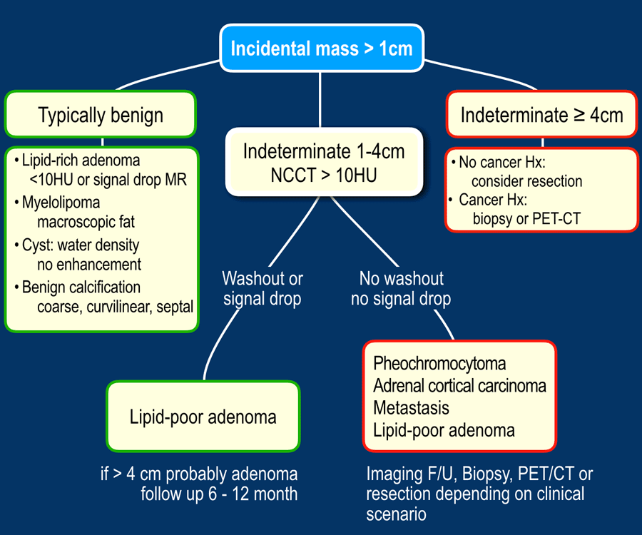Adrenal Imaging Findings: Spot Benign vs. Bad Lesions