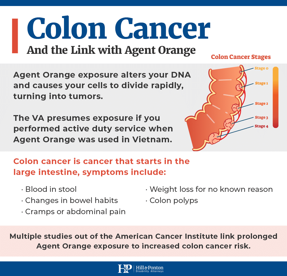 Agent Orange Cancer Risk: What You Need to Know