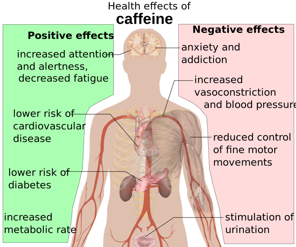Caffeine Effects: How It Impacts Your Body & Brain