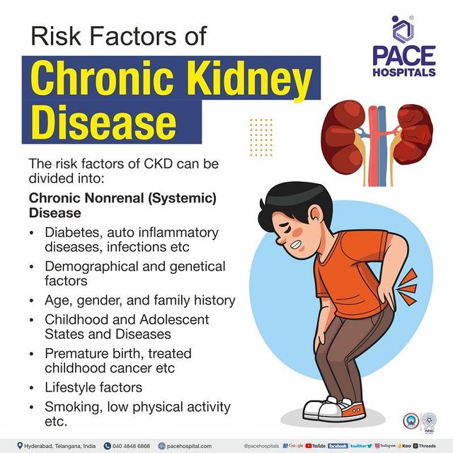 Chronic Kidney Disease Cure: What You Can Do Today