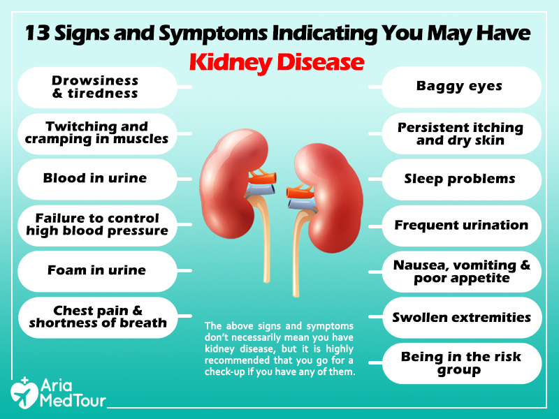 Early Kidney Failure Signs: Spot Them Before It Hits