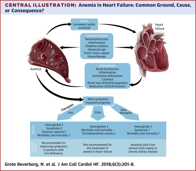 Heart Failure Anemia Symptoms: Spot Them Early & Act