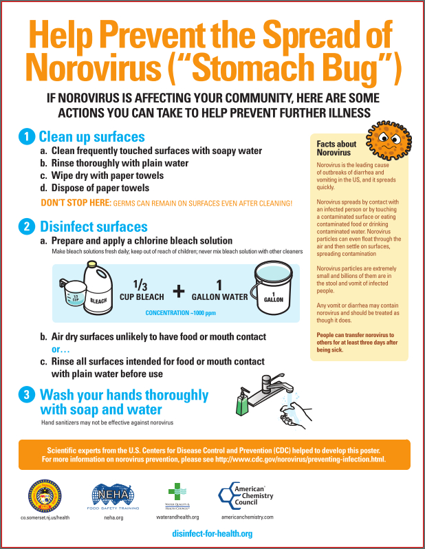 How Do You Get Rid of a Stomach Virus in 24 Hours?