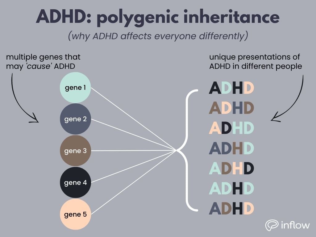 Is ADHD Genetic From Mother or Father? The Facts